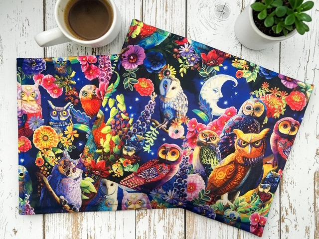 Cross Stitch Project Bag - Night Owl - Standard Bag