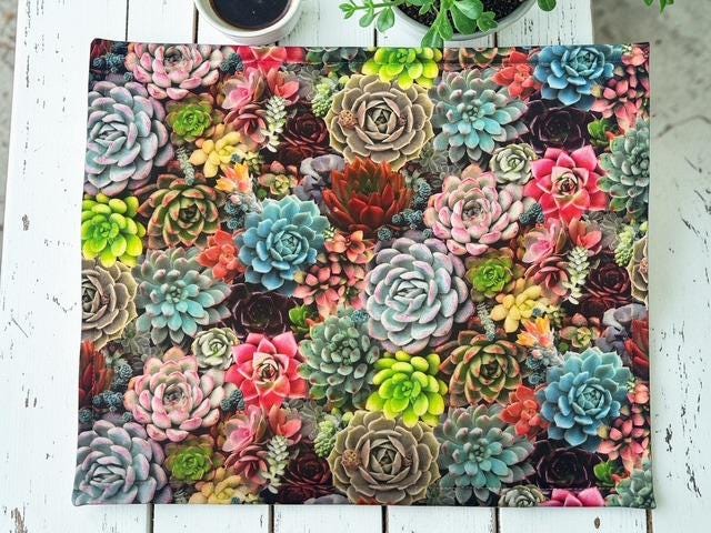 Cross Stitch Project Bag - Succulent Plants - Standard Bag
